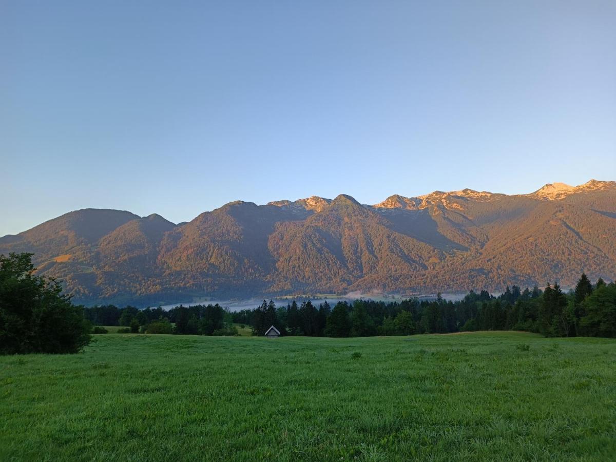 Apartmaji Hodak Hotel Bohinj Exterior photo