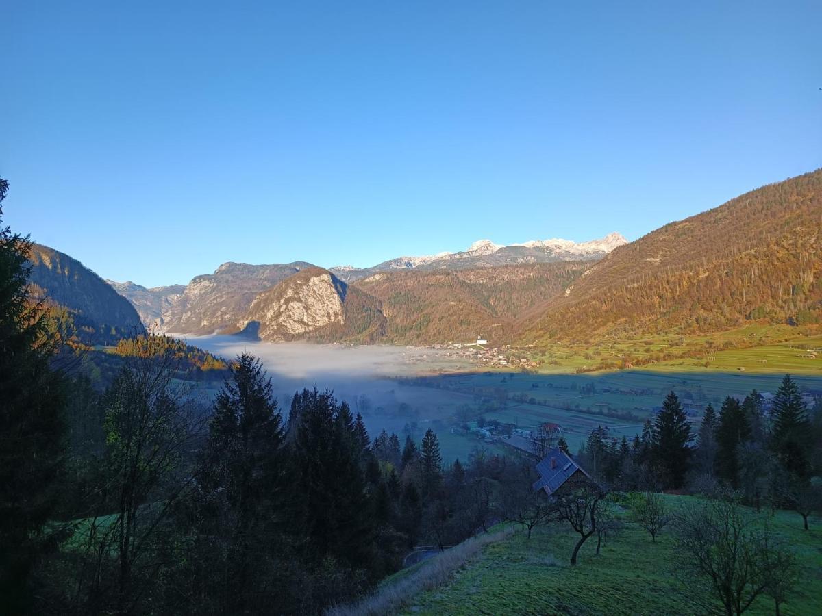 Apartmaji Hodak Hotel Bohinj Exterior photo