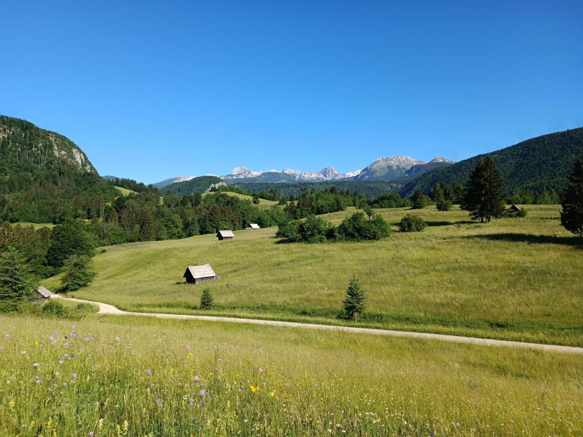 Apartmaji Hodak Hotel Bohinj Exterior photo