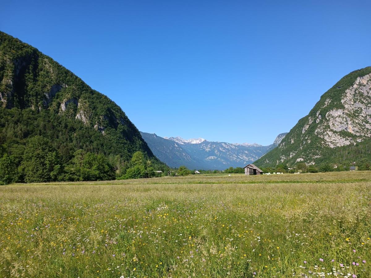 Apartmaji Hodak Hotel Bohinj Exterior photo