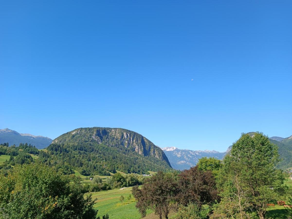 Apartmaji Hodak Hotel Bohinj Exterior photo